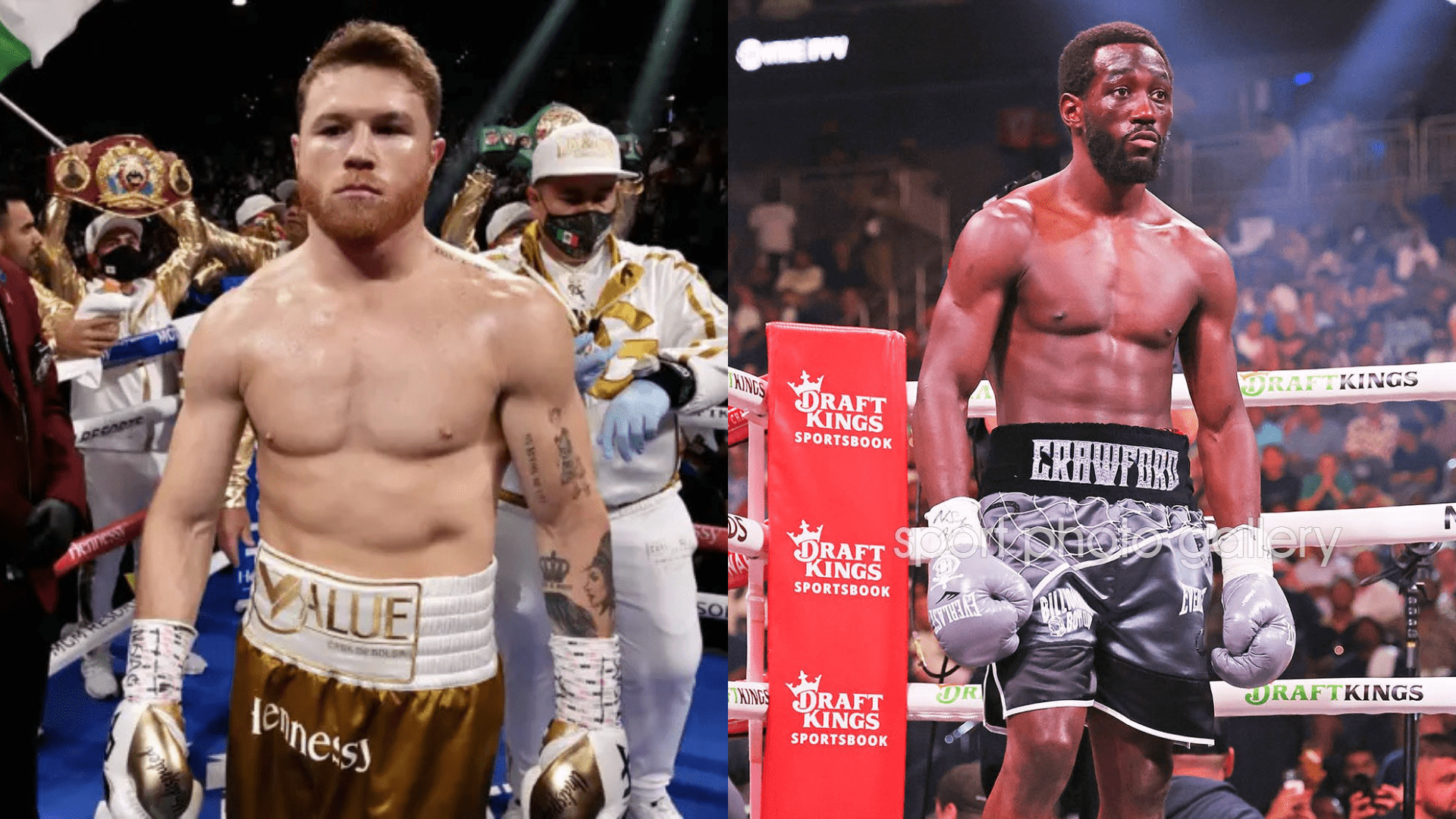 canelo-vs-crawford-box-blog